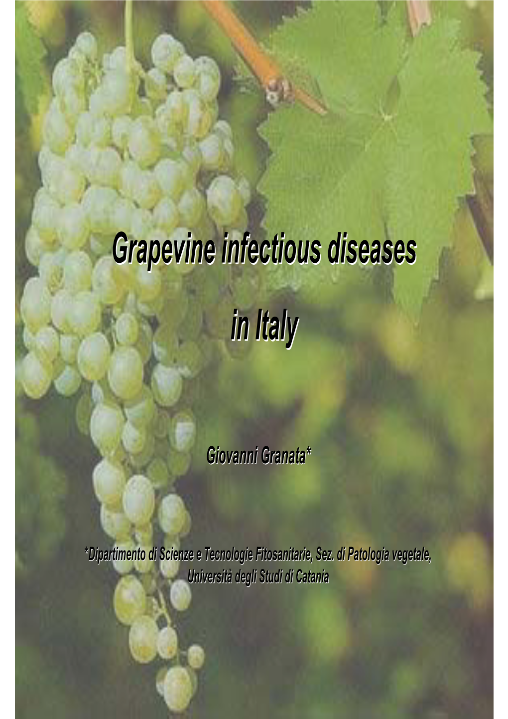 Grapevine Infectious Diseases in Italy