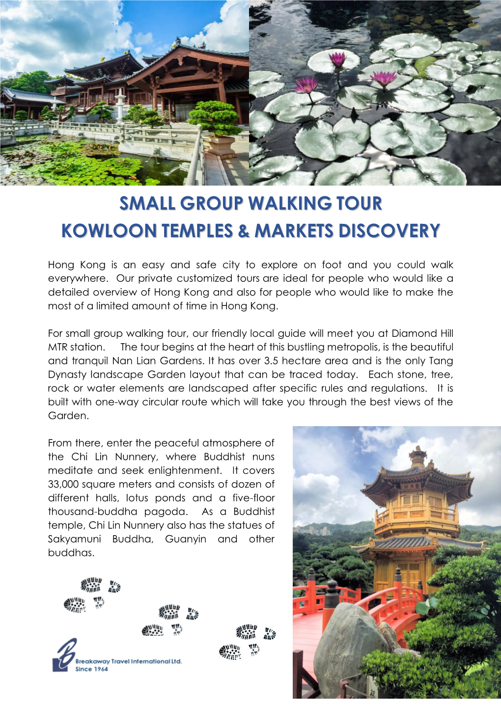 Small Group Walking Tour Kowloon Temples & Markets