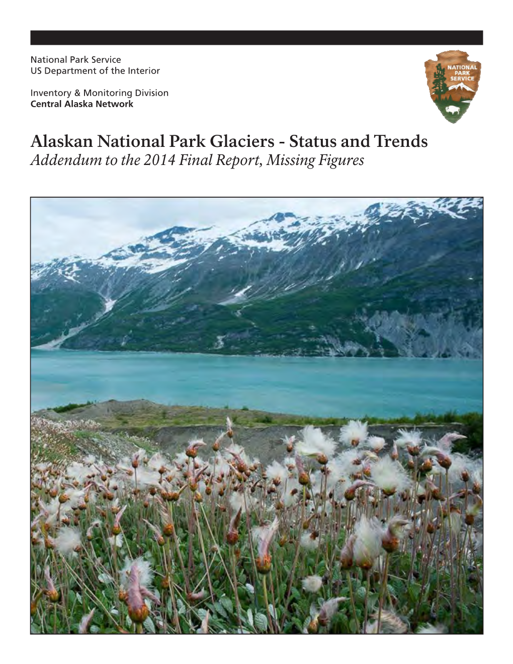 Addendum to Alaska Glacier Status and Trends Report