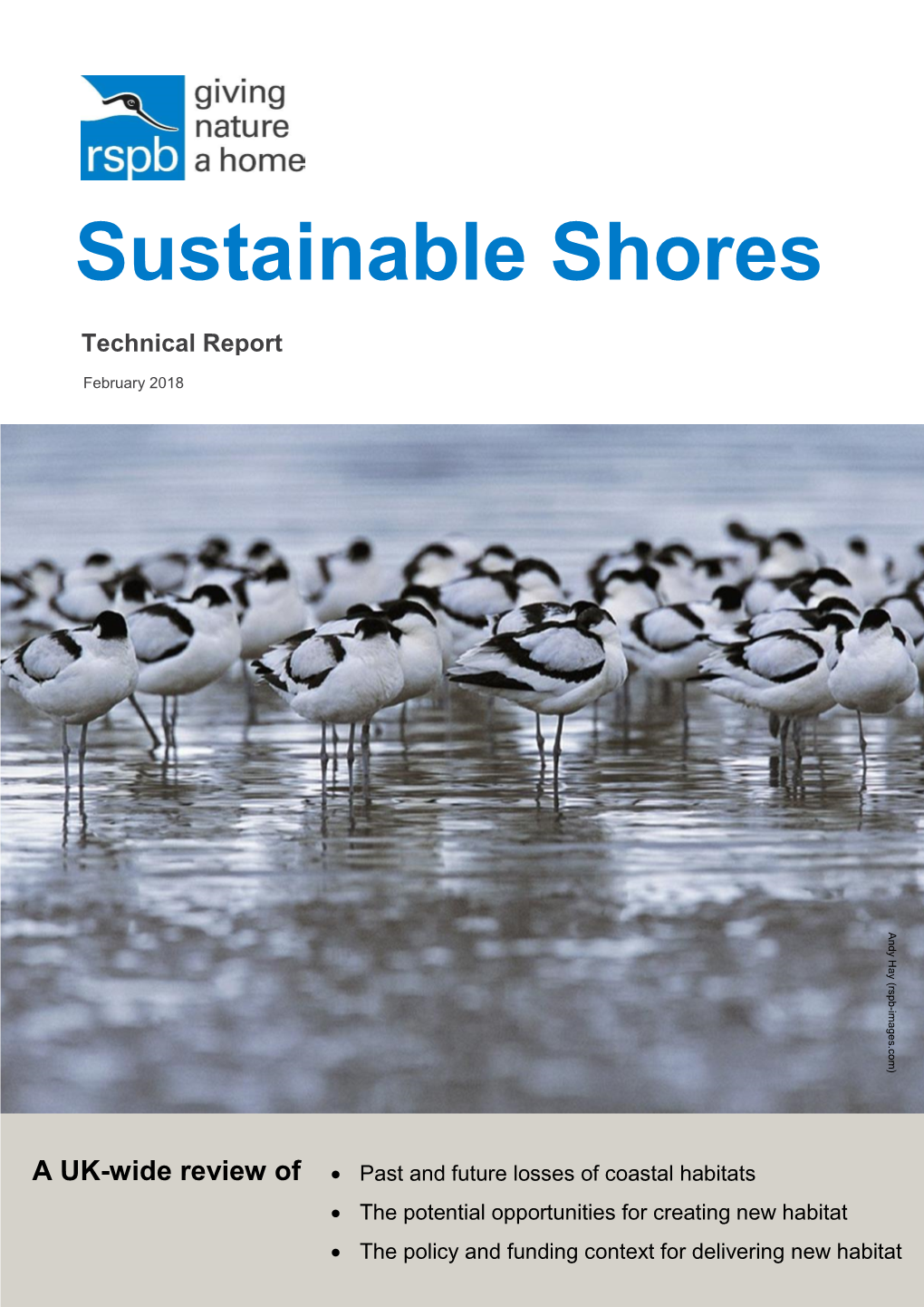 Sustainable Shores