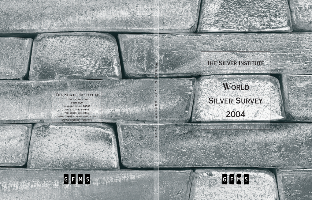 World Silver Survey 2004