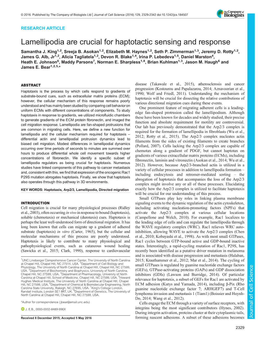 Lamellipodia Are Crucial for Haptotactic Sensing and Response Samantha J