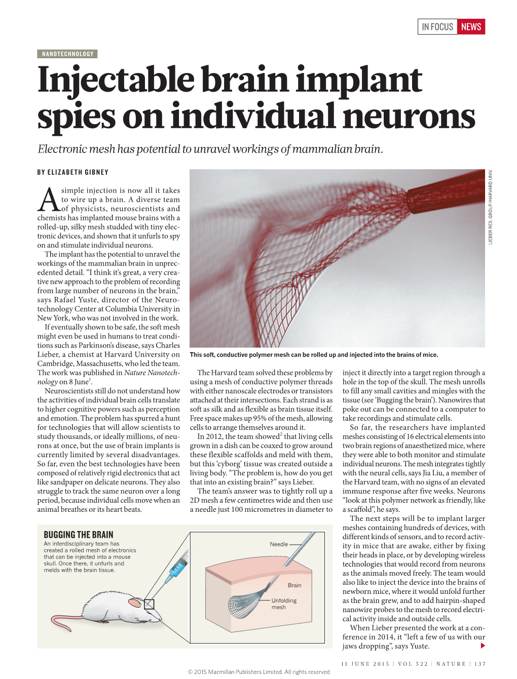 Injectable Brain Implant Spies on Individual Neurons Electronic Mesh Has Potential to Unravel Workings of Mammalian Brain