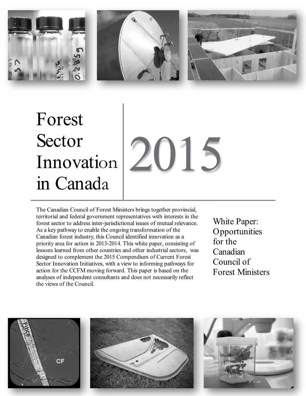 Forest Sector Innovation in Canada Through the Merger of the Three Leading Canadian Forest Research Institutions: Paprican, FERIC and Forintek