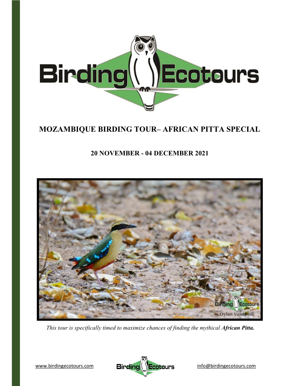 Mozambique Birding Tour — African Pitta Special