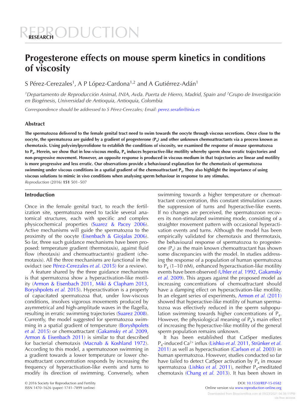 Progesterone Effects on Mouse Sperm Kinetics in Conditions of Viscosity