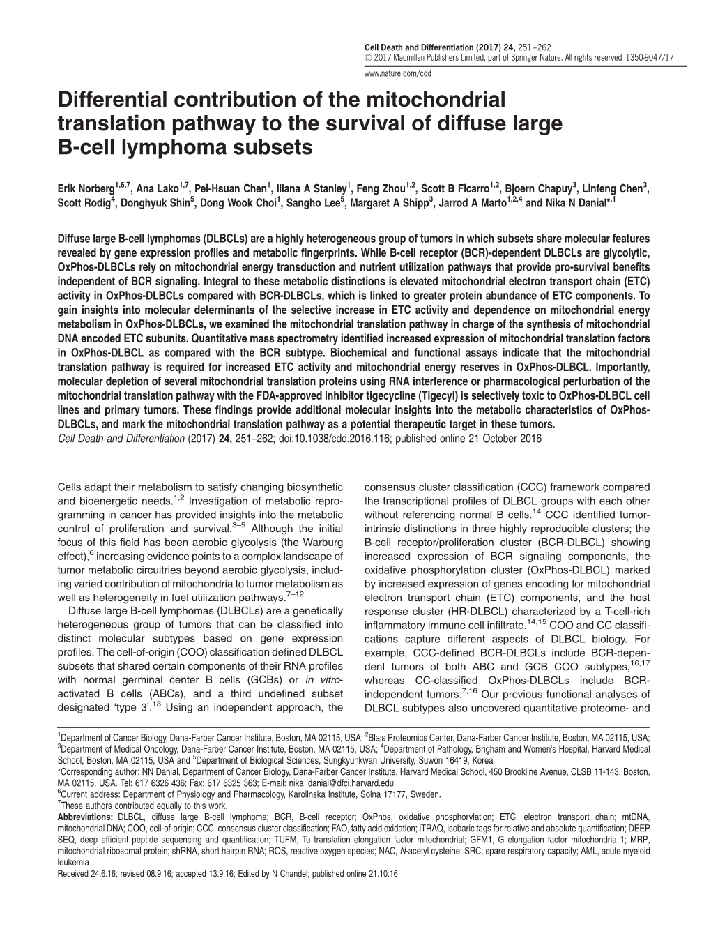 Differential Contribution of the Mitochondrial Translation Pathway to the Survival of Diffuse Large B-Cell Lymphoma Subsets