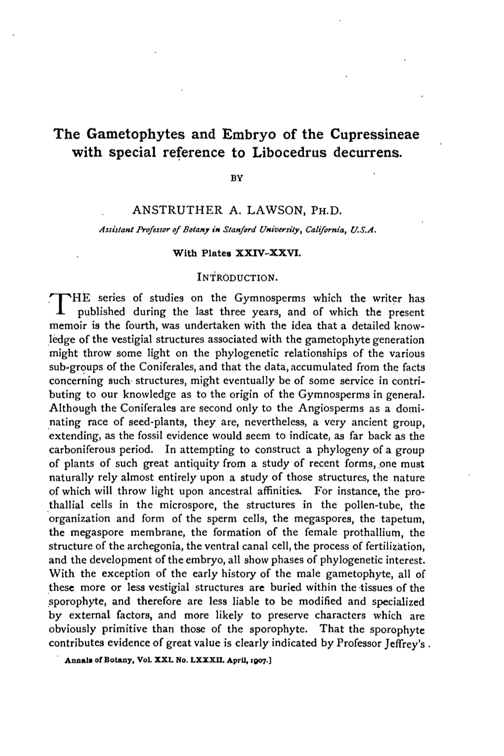 The Gametophytes and Embryo of the Cupressineae with Special Reference to Libocedrus Decurrens