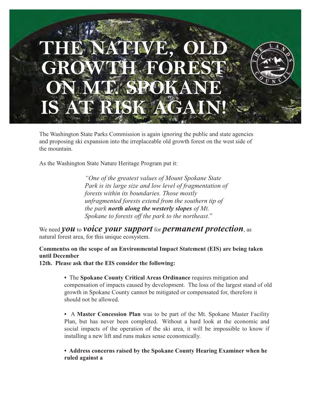 The Native, Old Growth Forest on Mt. Spokane Is at Risk Again!