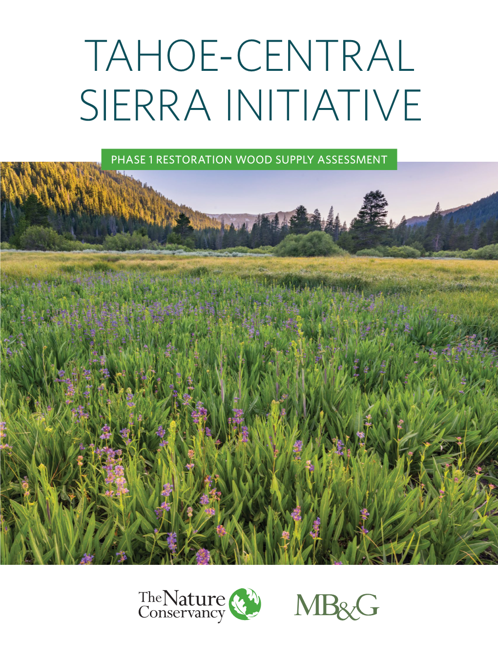 Tahoe-Central Sierra Initiative