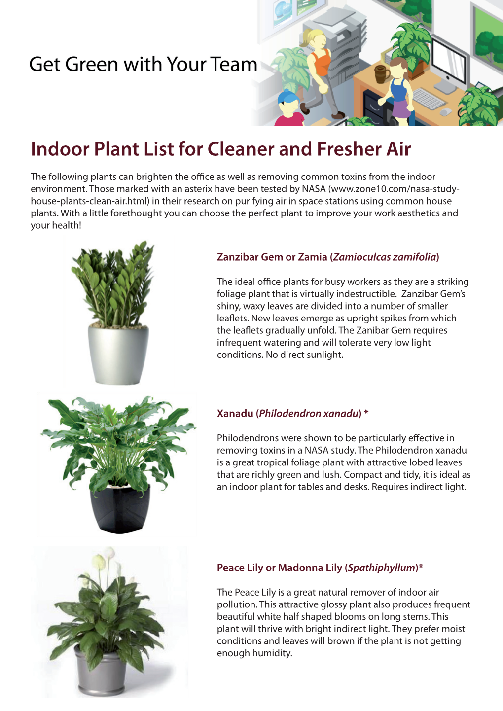 Indoor Plant List for Cleaner and Fresher Air