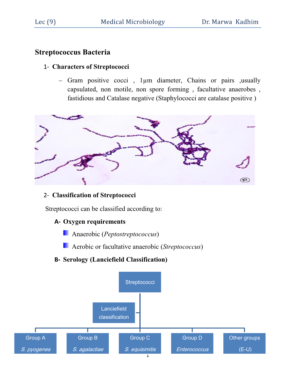 (9) Medical Microbiology Dr. Marwa Kadhim