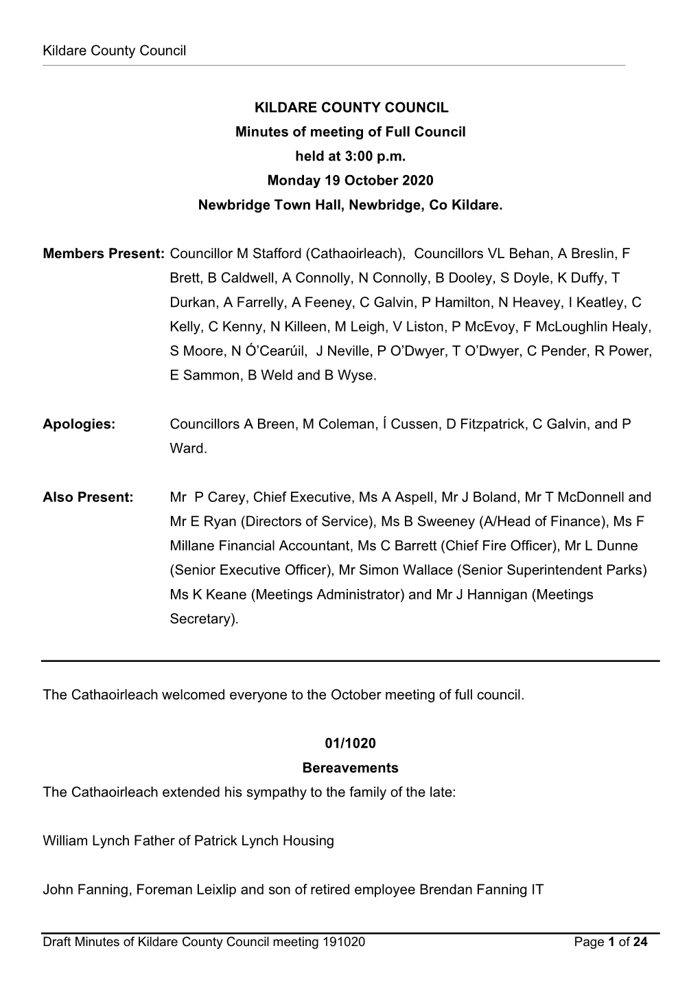 Minutes for Kildare County Council Meeting 19 October 2020