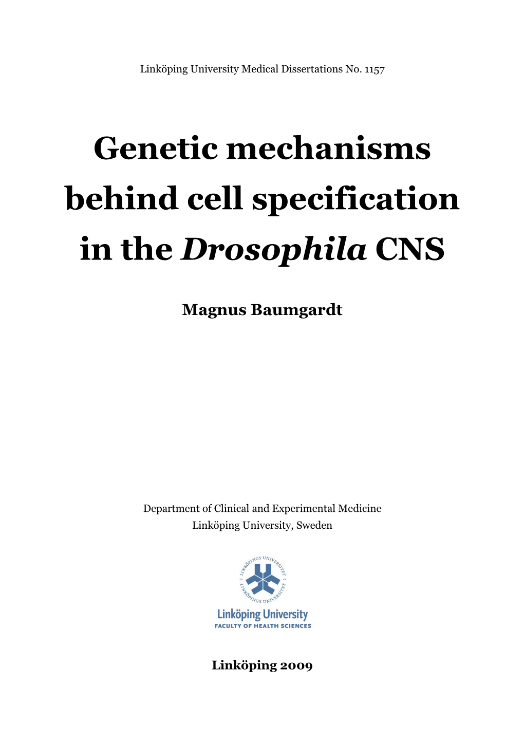 Genetic Mechanisms Behind Cell Specification in the Drosophila CNS