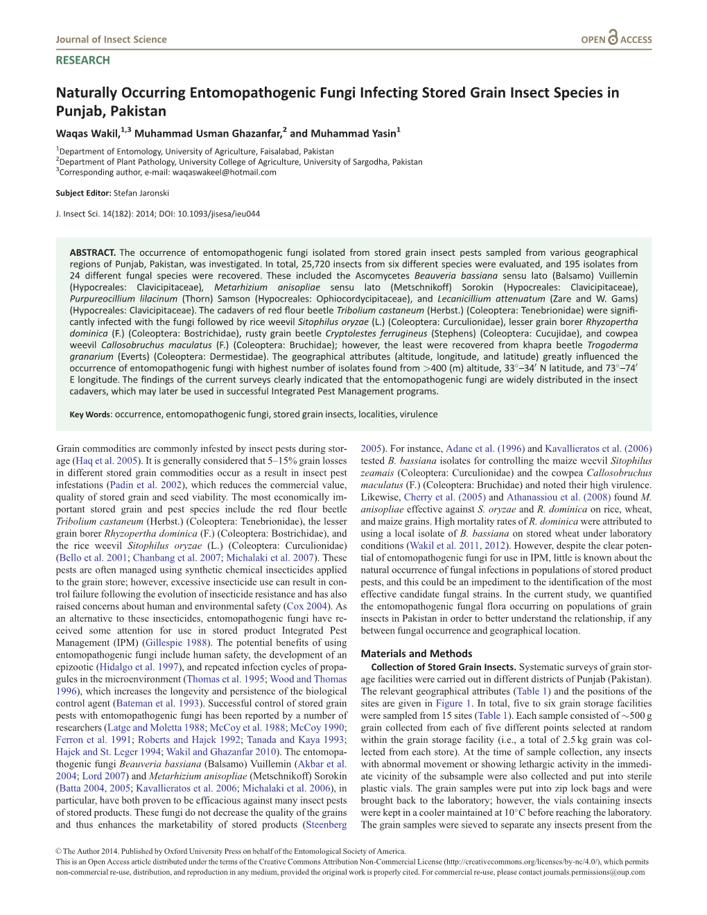 Naturally Occurring Entomopathogenic Fungi Infecting