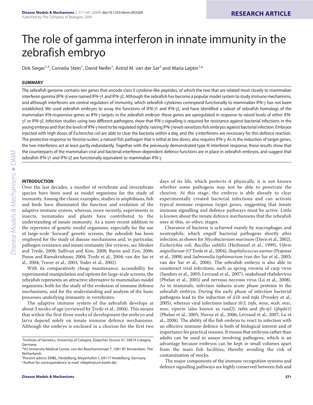 The Role of Gamma Interferon in Innate Immunity in the Zebrafish Embryo