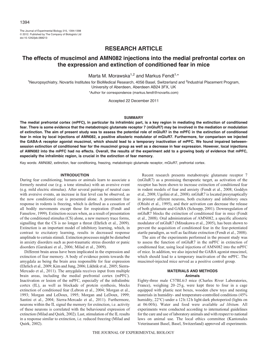 The Effects of Muscimol and AMN082 Injections Into the Medial Prefrontal Cortex on the Expression and Extinction of Conditioned Fear in Mice