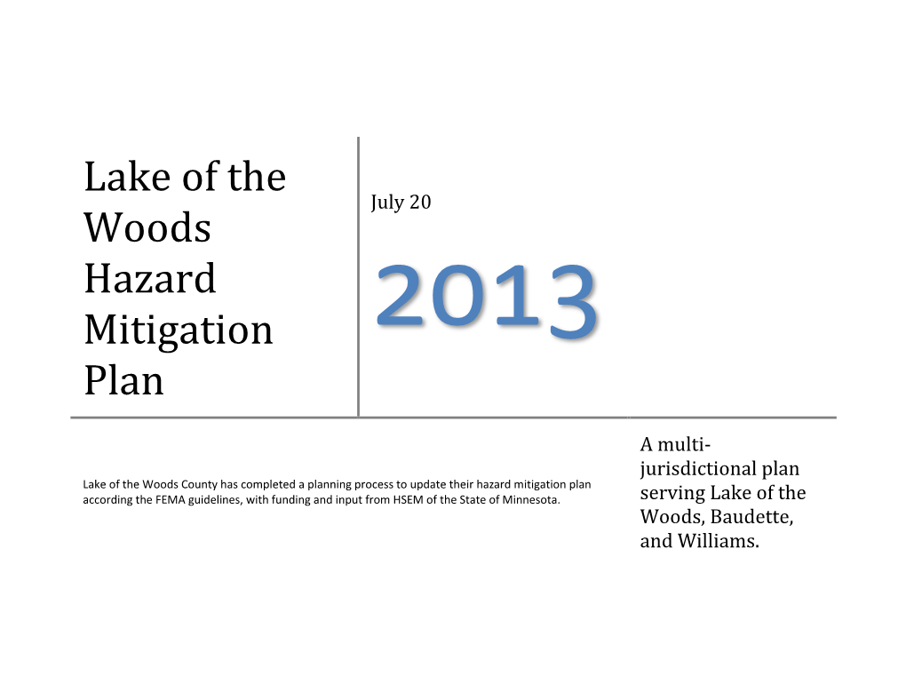 Lake of the Woods Hazard Mitigation Plan: Update 2013 July 20, 2013