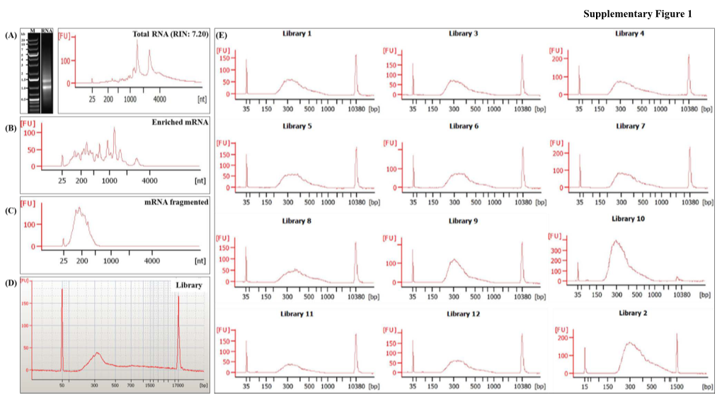 Supplementary Figure 1 (A) Supplementary Figure 2