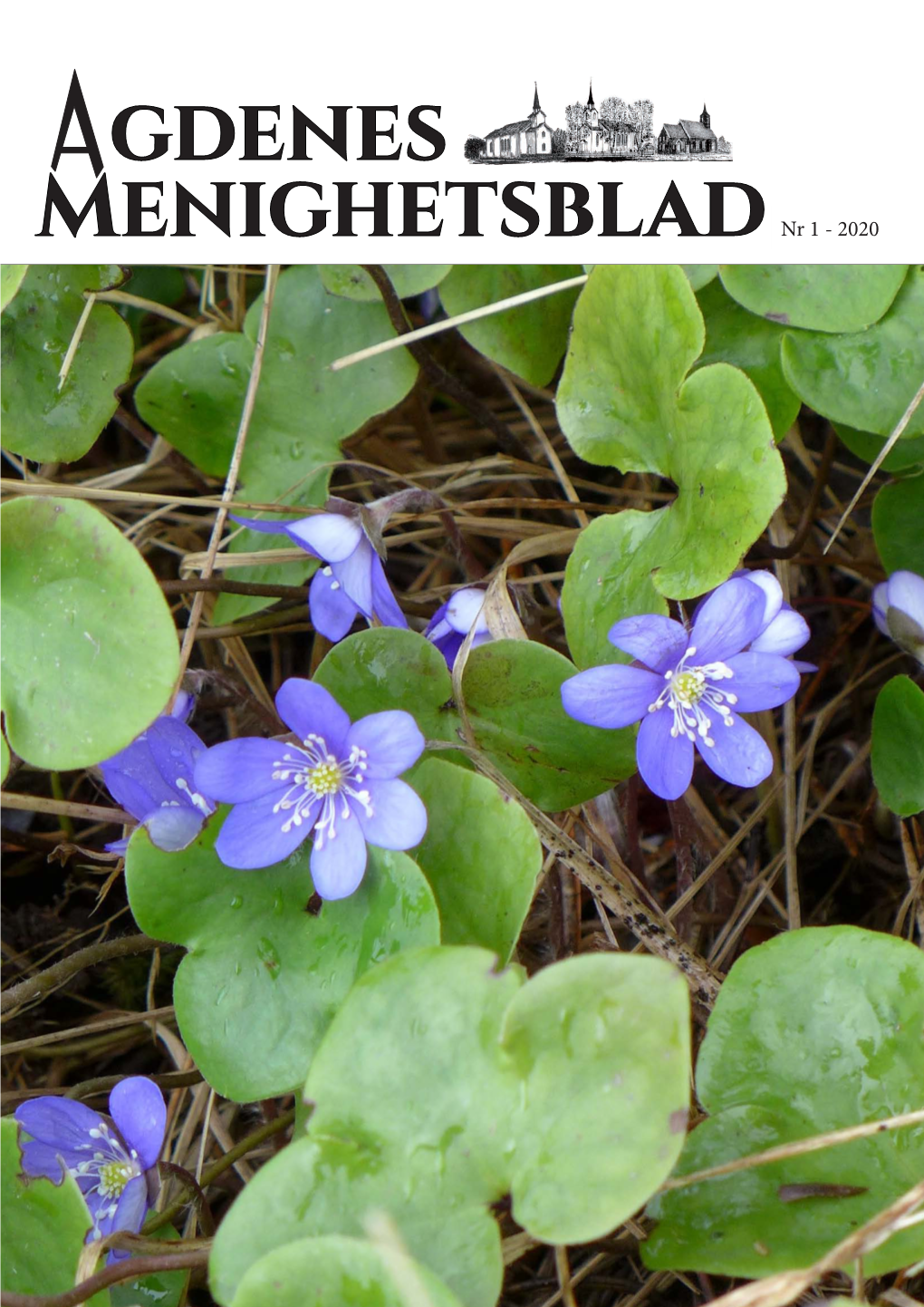 Menighetsblad Gdenes