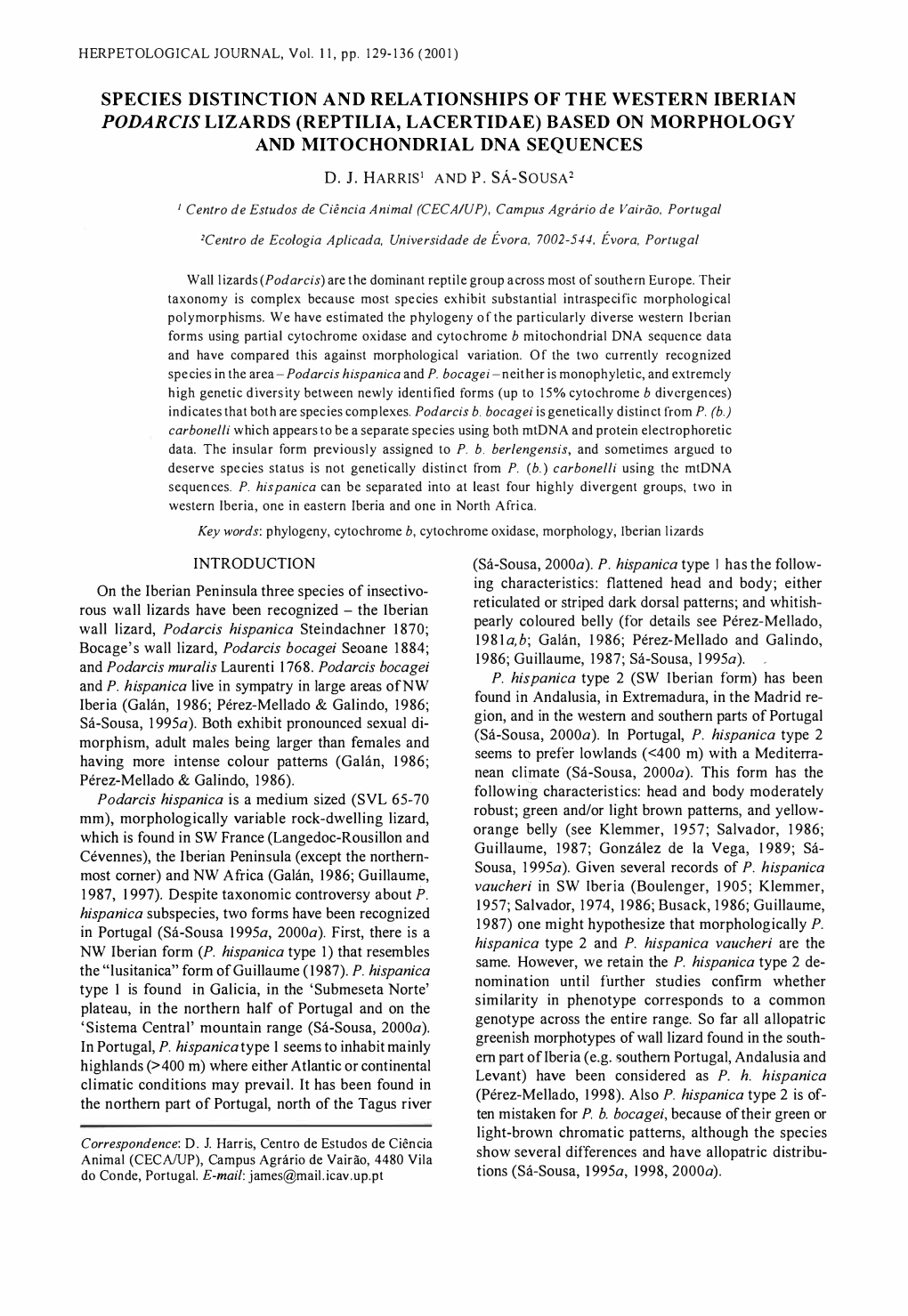 Species Distinction and Relationships of the Western Iberian Podarcis Lizards (Reptilia, Lacertidae) Based on Morphology and Mitochondrial Dna Sequences