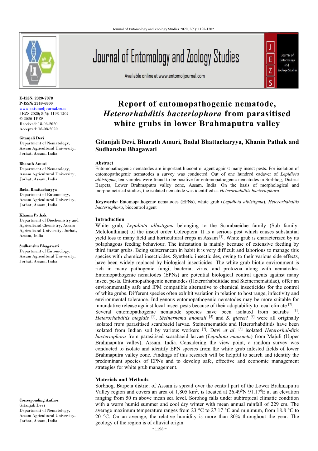 Report of Entomopathogenic Nematode, Heterorhabditis Bacteriophora from Parasitised White Grubs in Lower Brahmaputra Valley