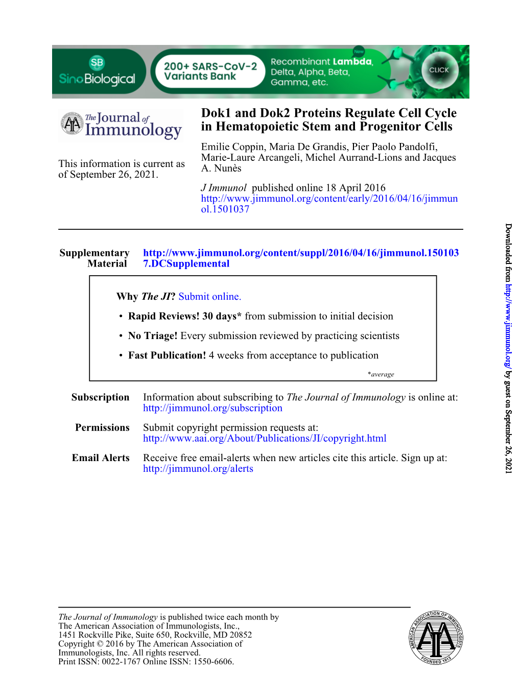 Dok1 and Dok2 Proteins Regulate Cell Cycle in Hematopoietic Stem