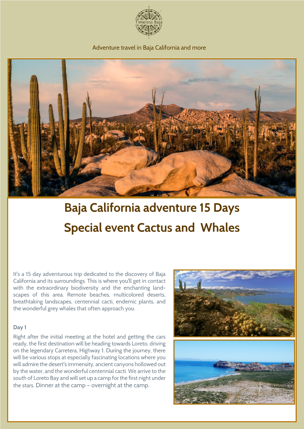Baja15 Days Desert Cactus Whale