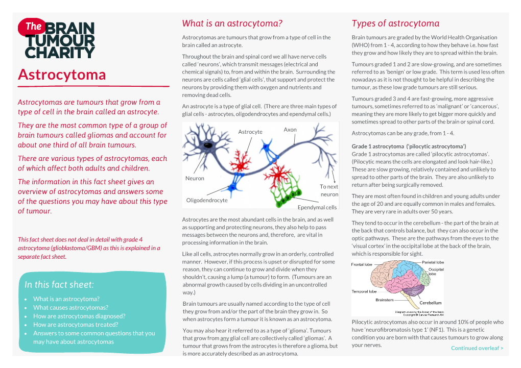 Astrocytoma Brain Tumour Factsheet