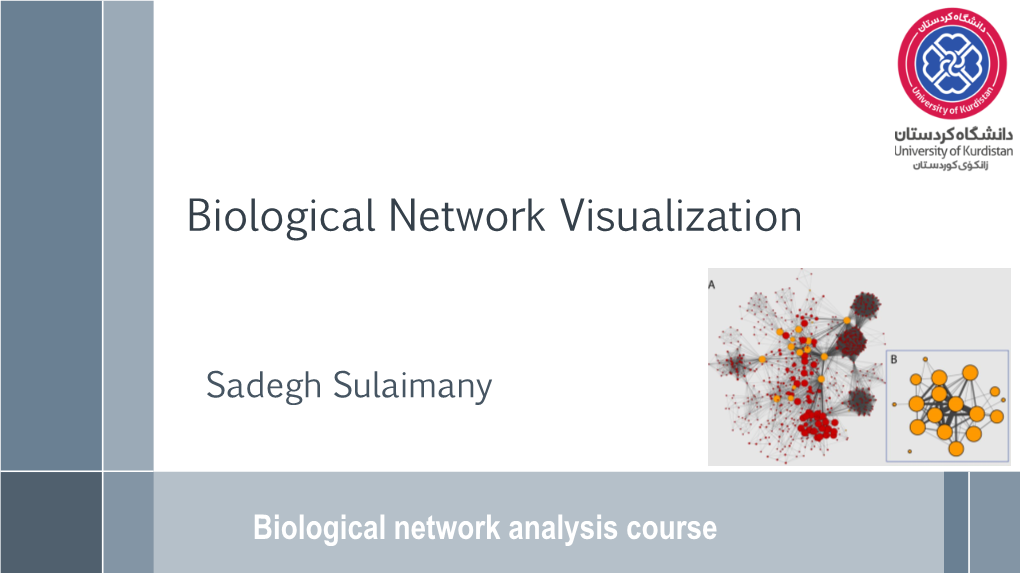 Biological Networks Visualization