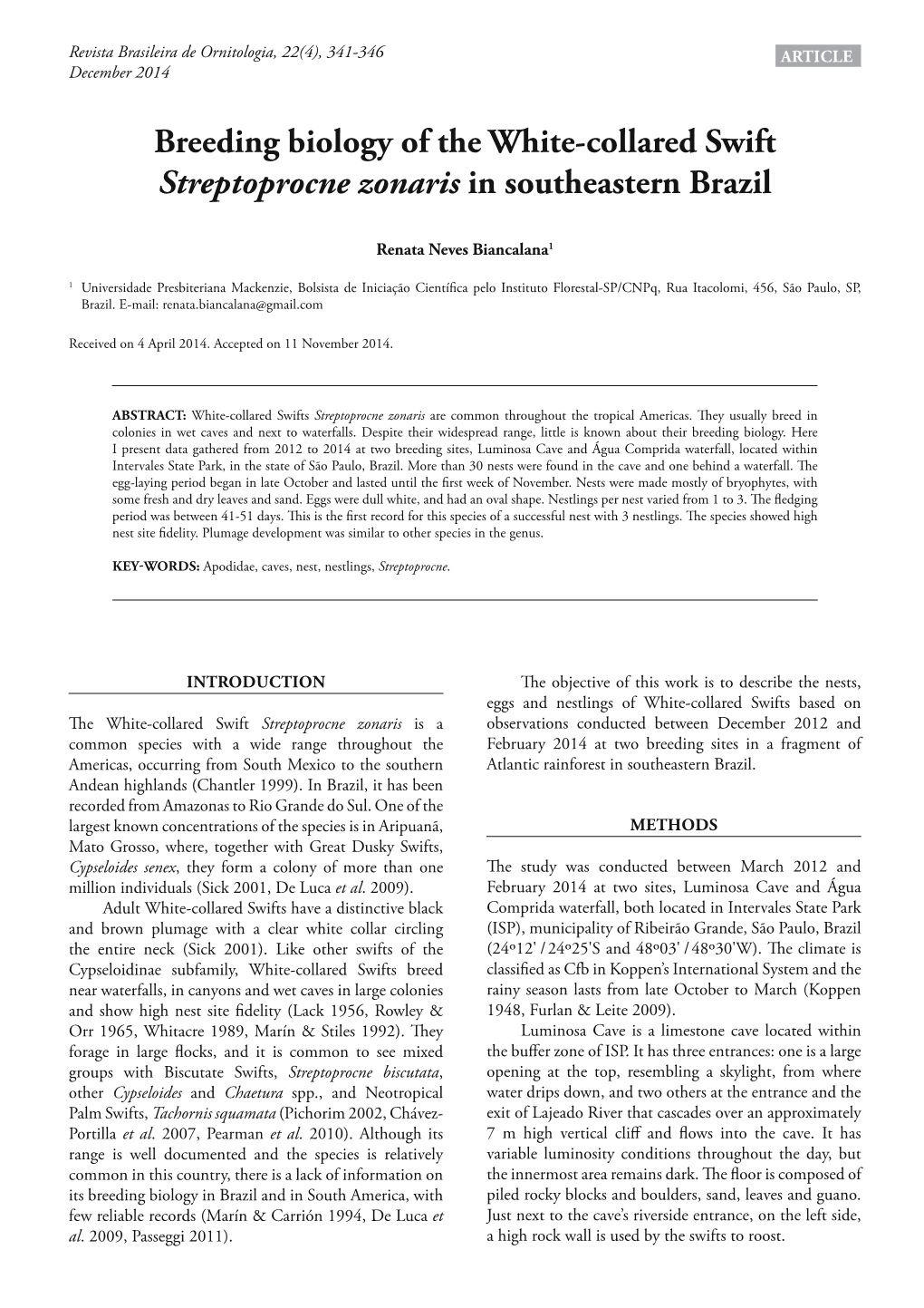 Breeding Biology of the White-Collared Swift Streptoprocne Zonaris in Southeastern Brazil