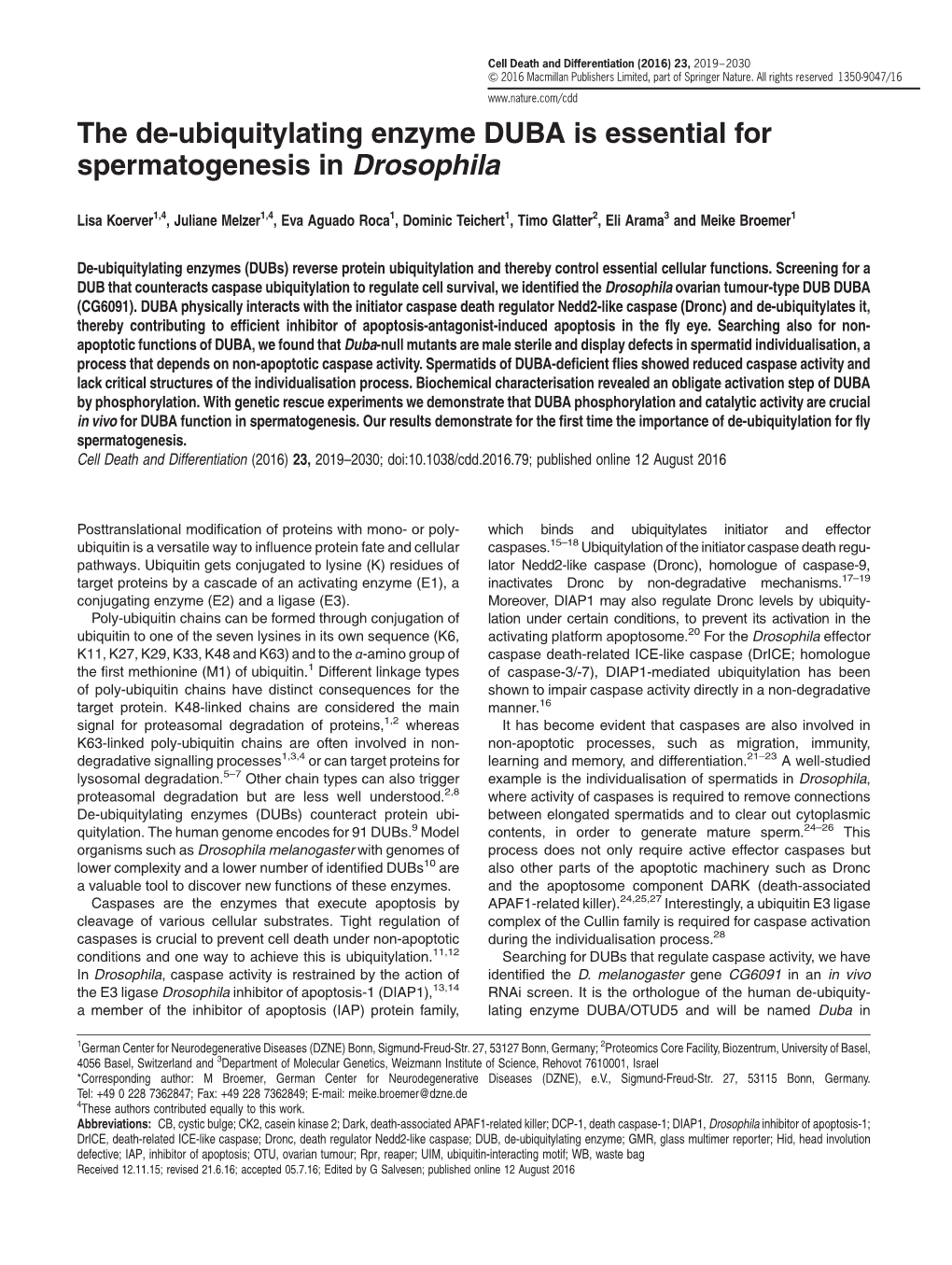 The De-Ubiquitylating Enzyme DUBA Is Essential for Spermatogenesis in Drosophila