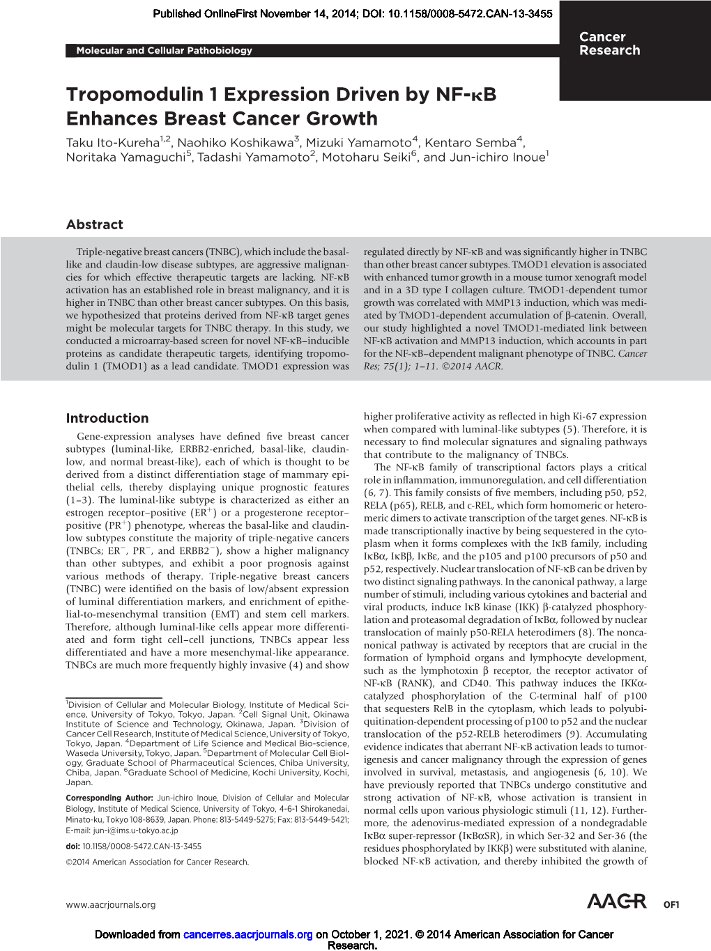 Tropomodulin 1 Expression Driven by NF-Kb Enhances Breast Cancer