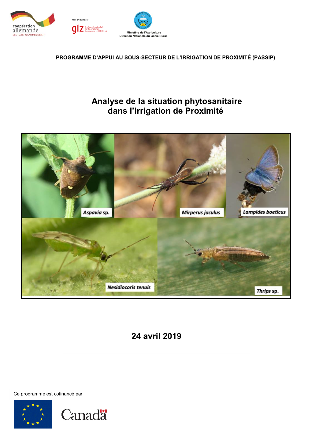 Analyse De La Situation Phytosanitaire Dans L'irrigation De Proximité 24