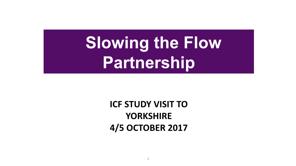 Slowing the Flow Partnership