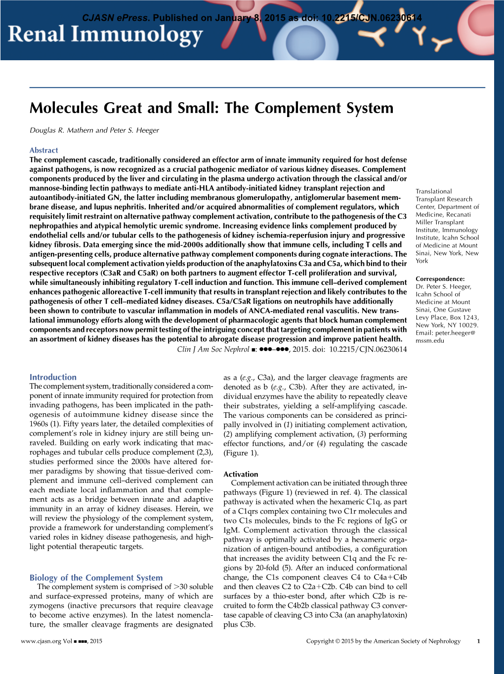 Molecules Great and Small: the Complement System