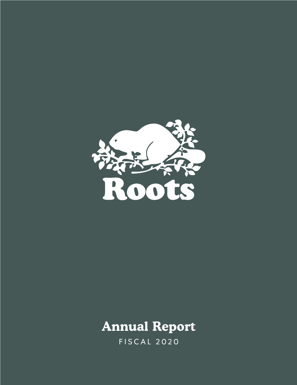 2020 Annual Report”