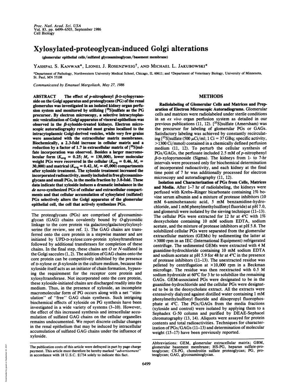 Xylosylated-Proteoglycan-Induced Golgi Alterations (Glomerular Epithelial Cells/Sulfated Glycosaminoglycan/Basement Membrane) YASHPAL S