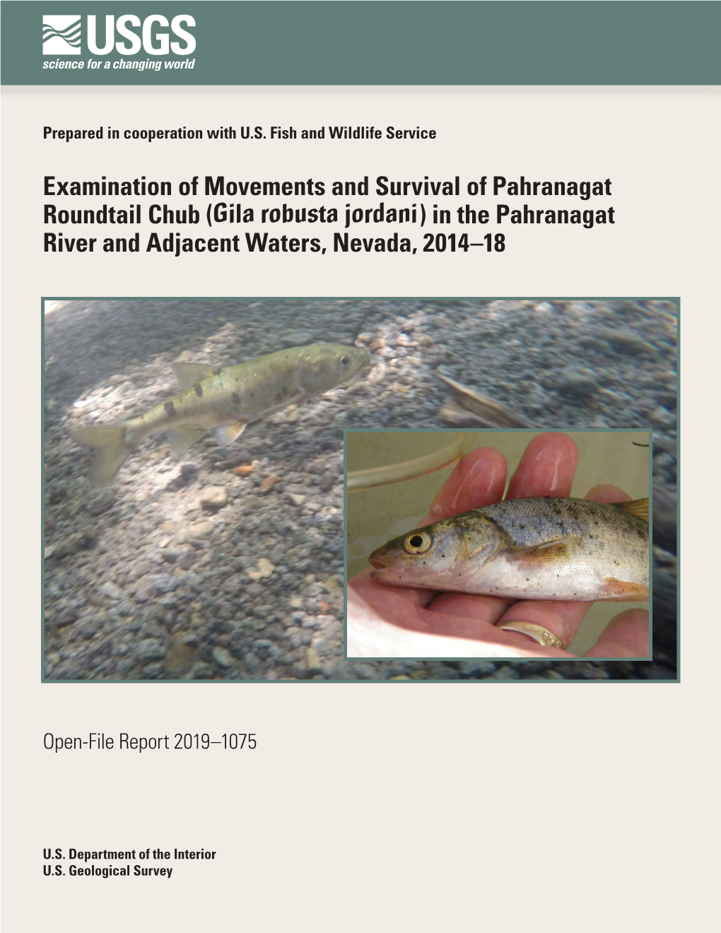 Examination of Movements and Survival of Pahranagat Roundtail Chub (Gila Robusta Jordani) in the Pahranagat River and Adjacent Waters, Nevada, 2014–18