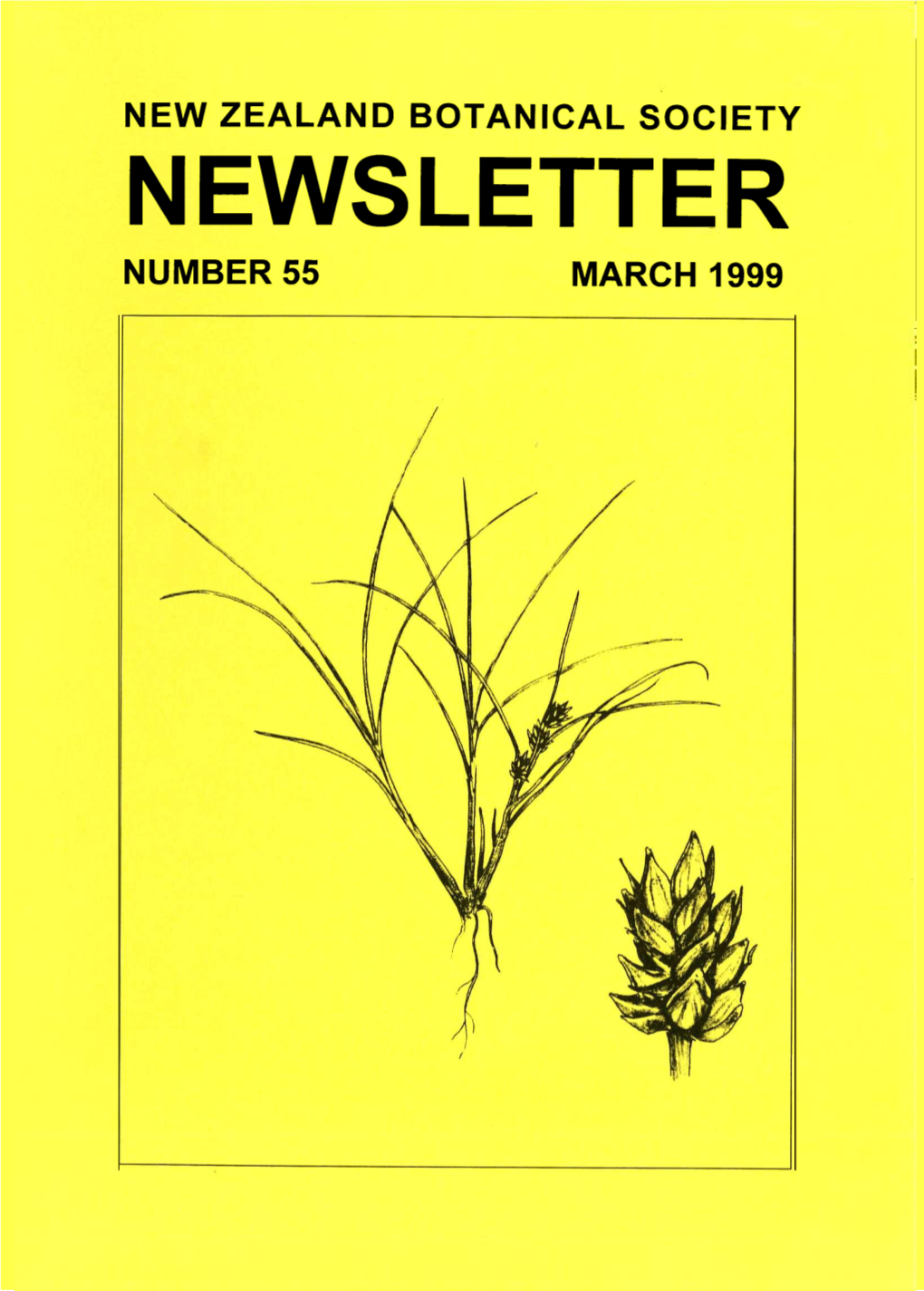 NEWSLETTER NUMBER 55 MARCH 1999 New Zealand Botanical Society