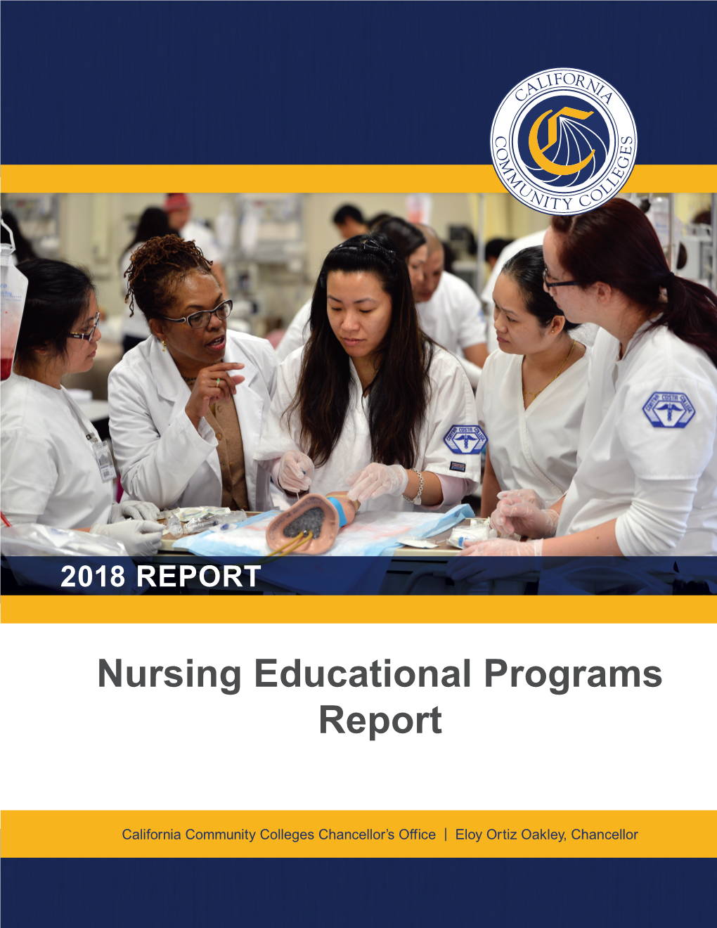 Nursing Educational Programs Report