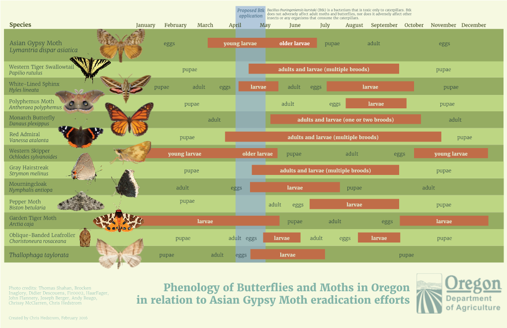 Phenology of Butterflies and Moths in Oregon in Relation to Asian Gypsy