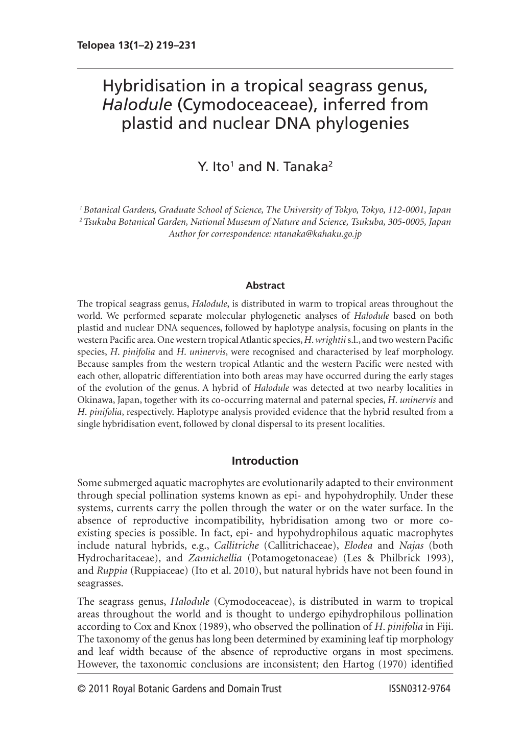 Hybridisation in a Tropical Seagrass Genus, Halodule (Cymodoceaceae), Inferred from Plastid and Nuclear DNA Phylogenies