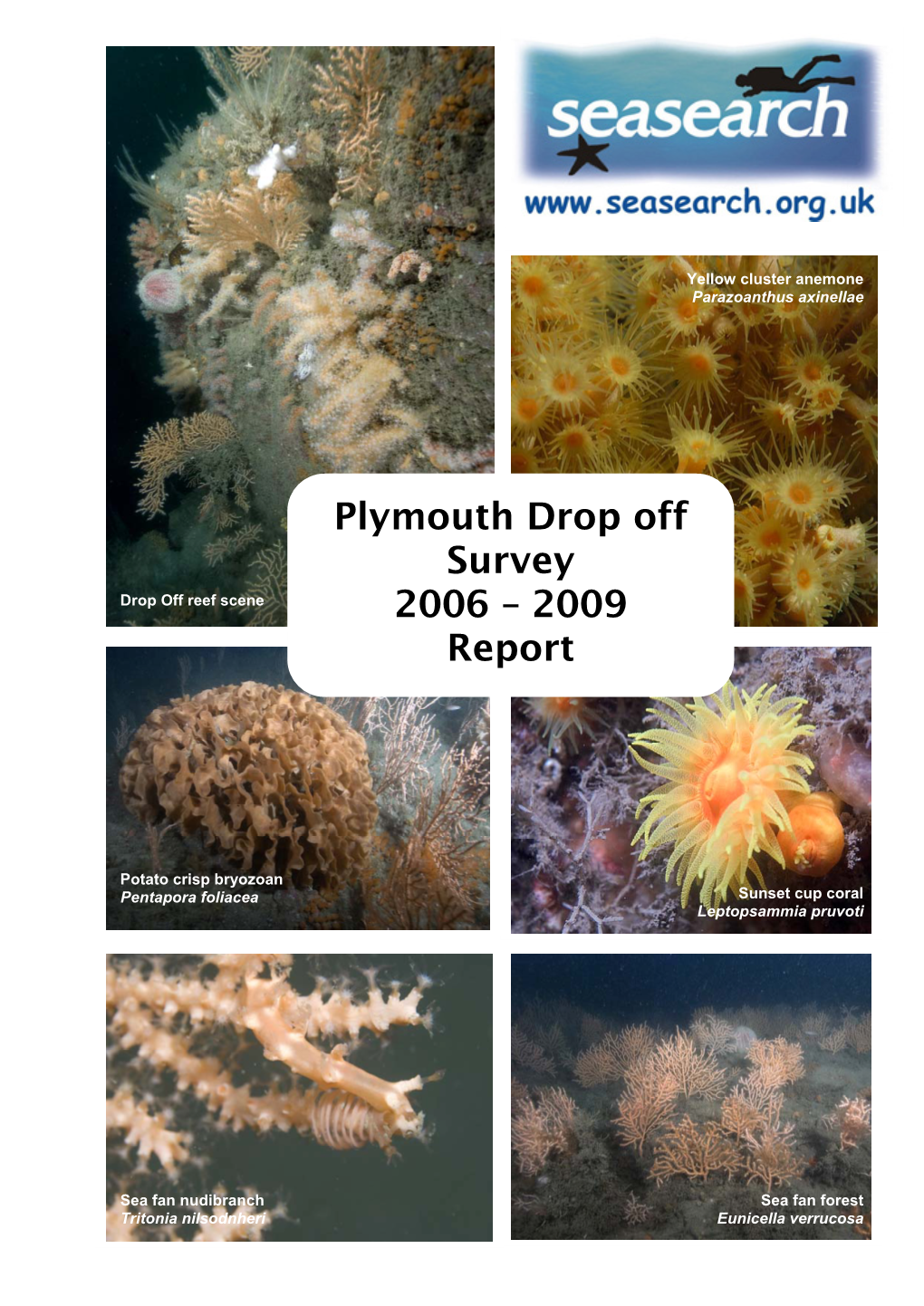 Plymouth Drop Off Survey 2006 – 2009 Report