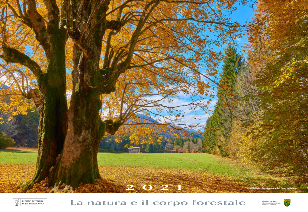 La Natura E Il Corpo Forestale Forestali E Ittiche 1 V 2 S 3 D 4 L 5 M
