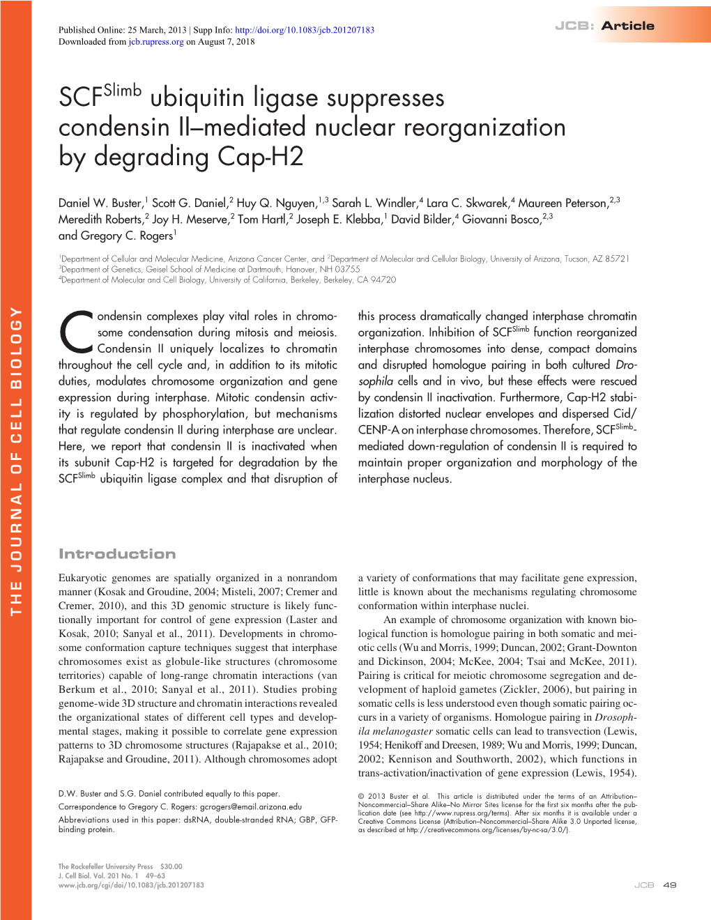 Scfslimb Ubiquitin Ligase Suppresses Condensin II–Mediated Nuclear Reorganization by Degrading Cap-H2