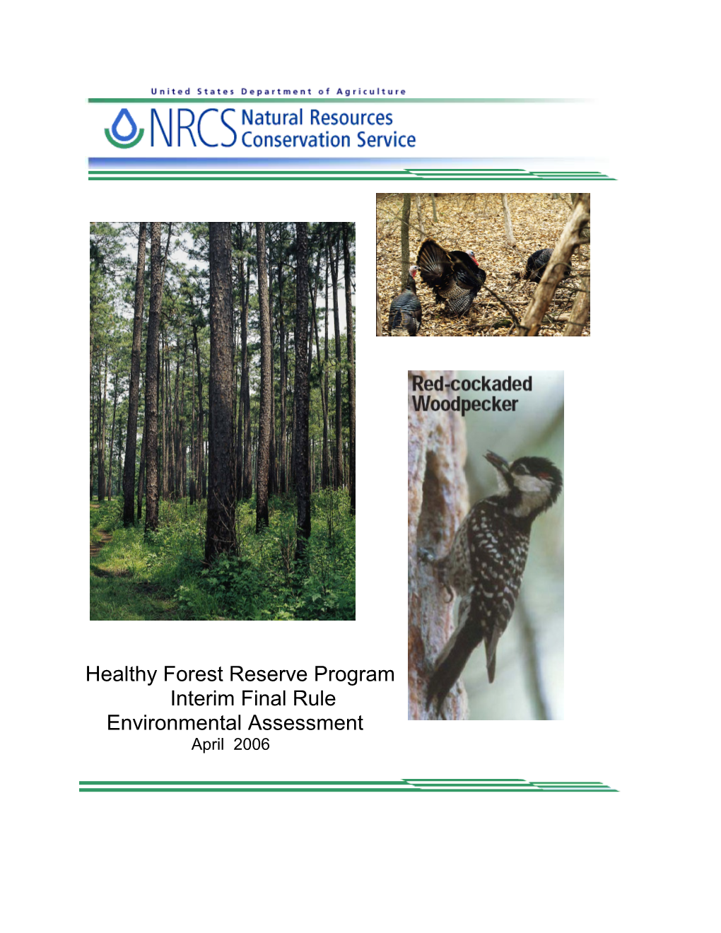 Forestry Incentives Program