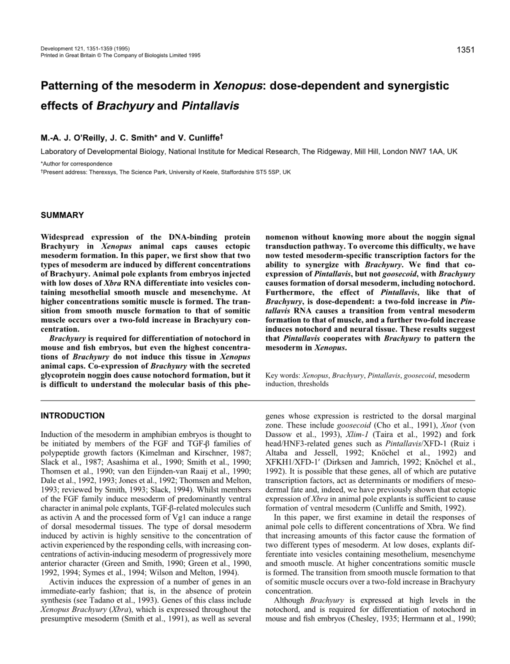 Patterning of the Mesoderm in Xenopus: Dose-Dependent and Synergistic Effects of Brachyury and Pintallavis