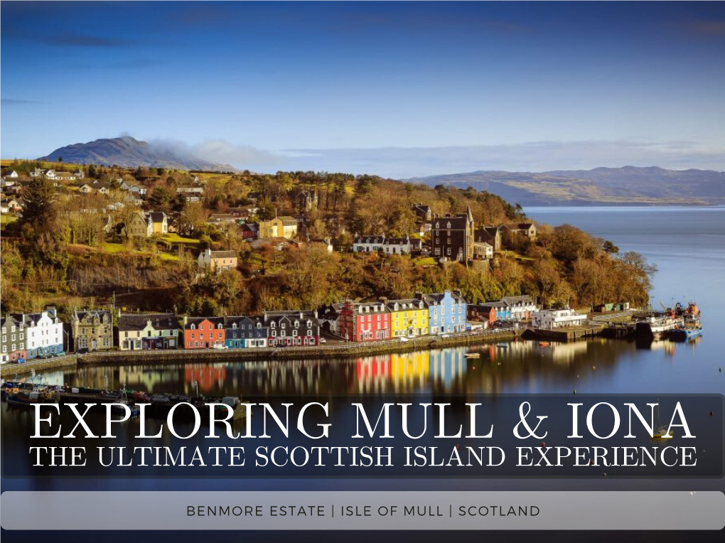 Exploring Mull & Iona 2021