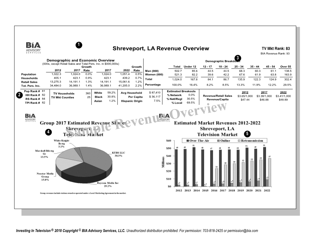 Sample Revenue Overview 5